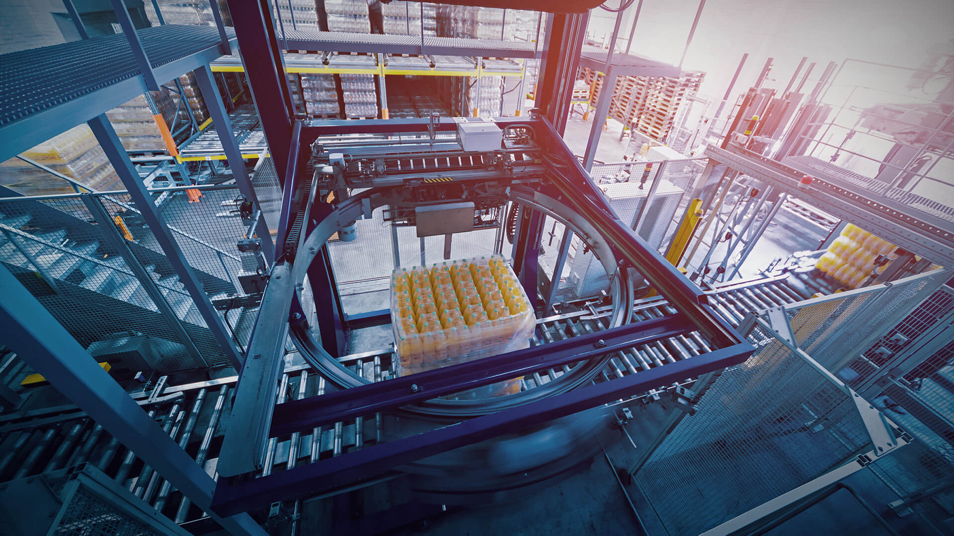 13322 Olmia Fotografie voorbeelden6